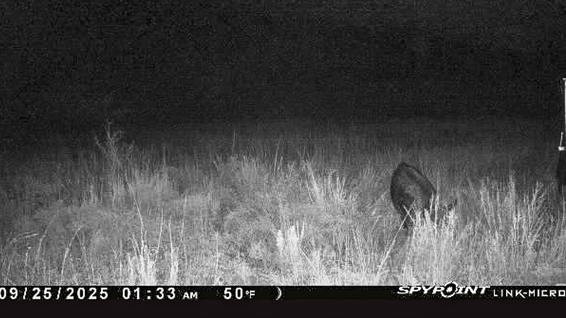 6885 County Road 594 Brownwood TX 76801