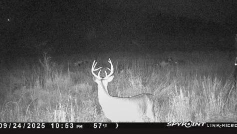 6885 County Road 594 Brownwood TX 76801