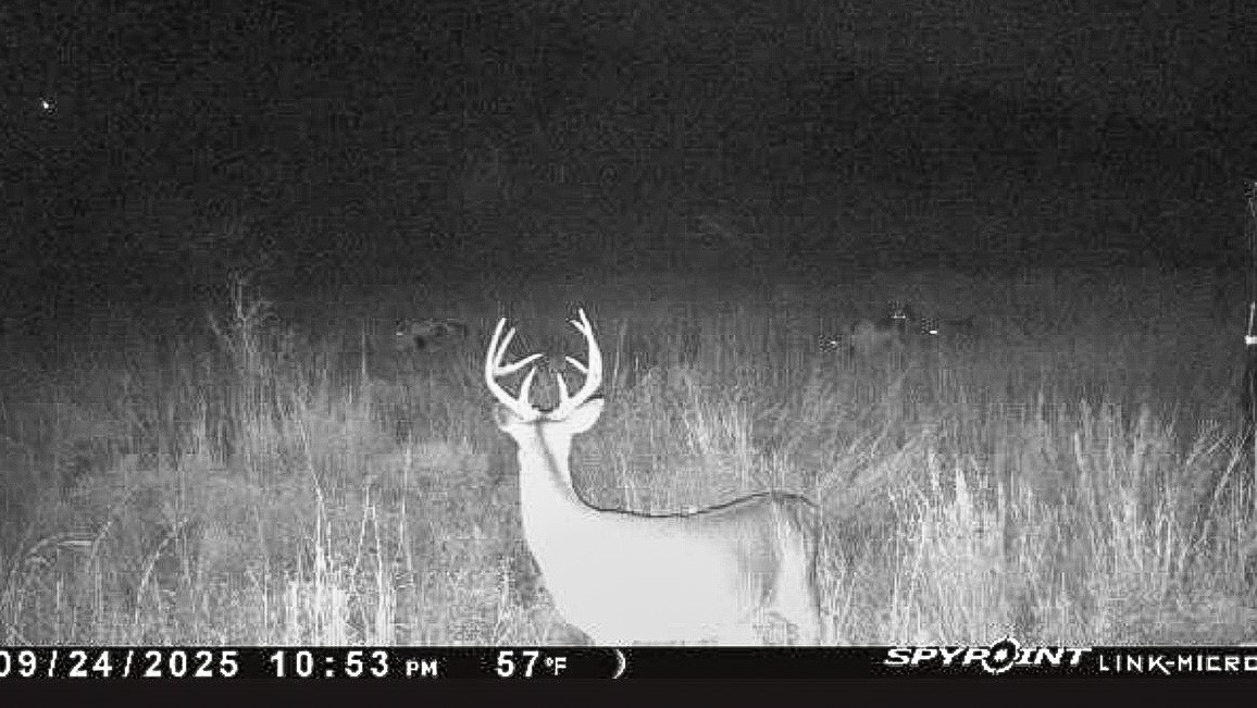6885 County Road 594 Brownwood TX 76801