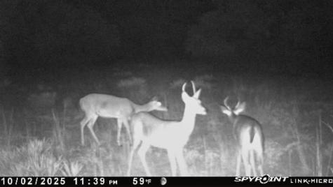 6885 County Road 594 Brownwood TX 76801