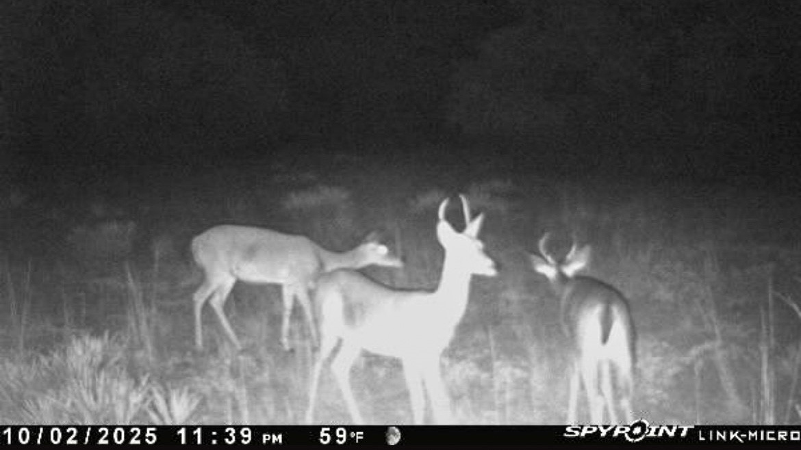 6885 County Road 594 Brownwood TX 76801