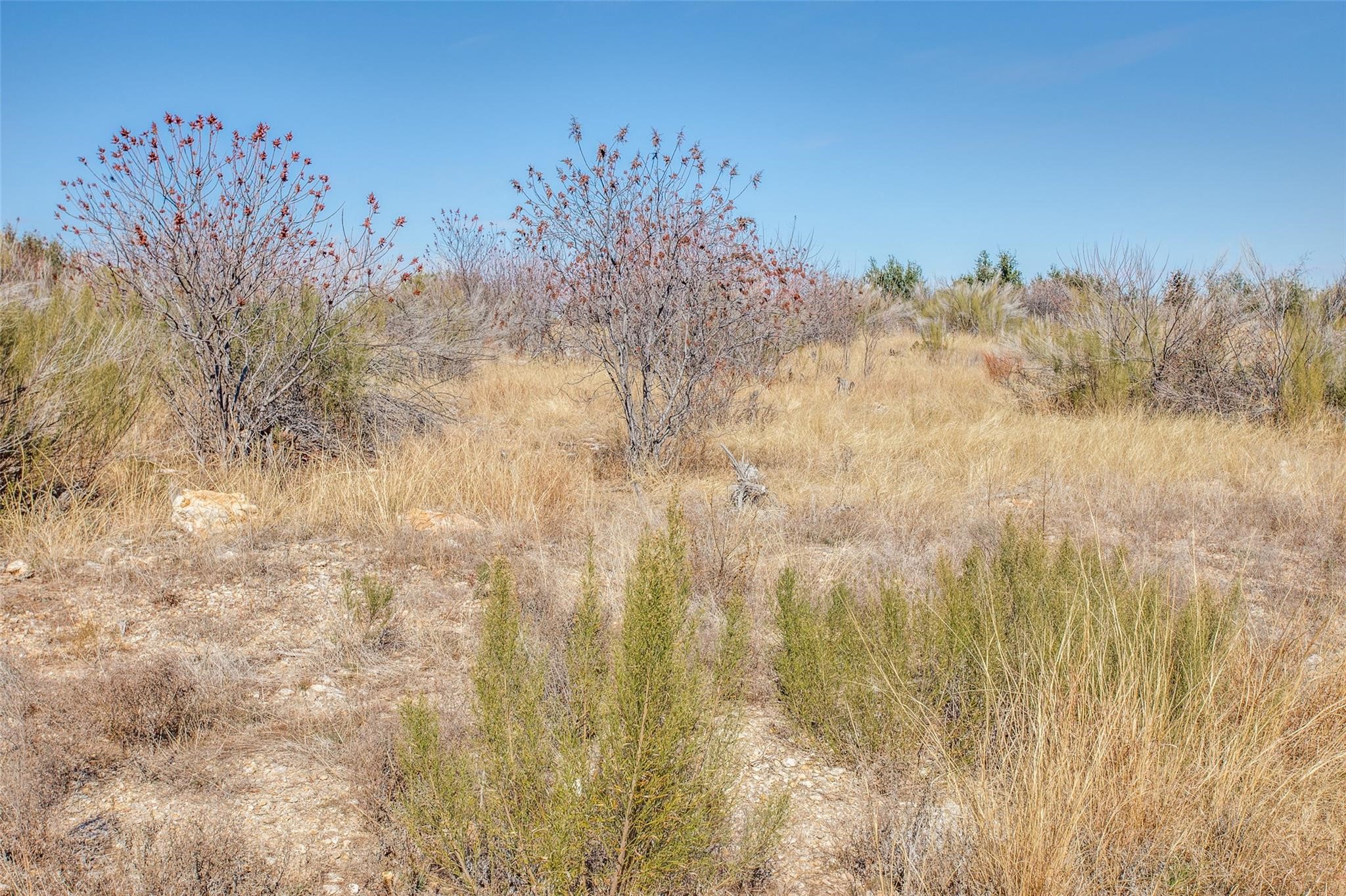 Tbd Lot #45 Rawhide Ridge Possum Kingdom Lake TX 76449