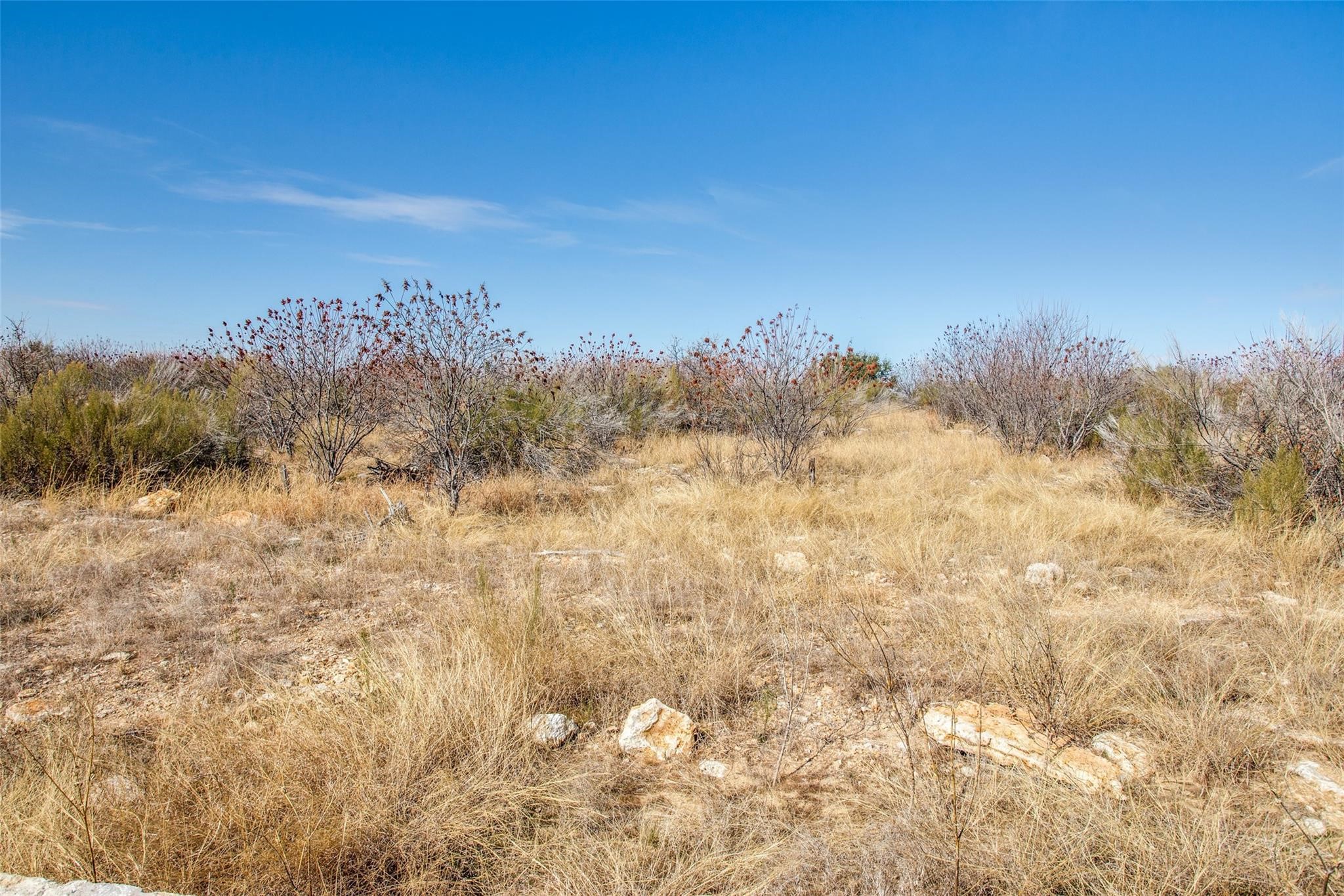 Tbd Lot #45 Rawhide Ridge Possum Kingdom Lake TX 76449