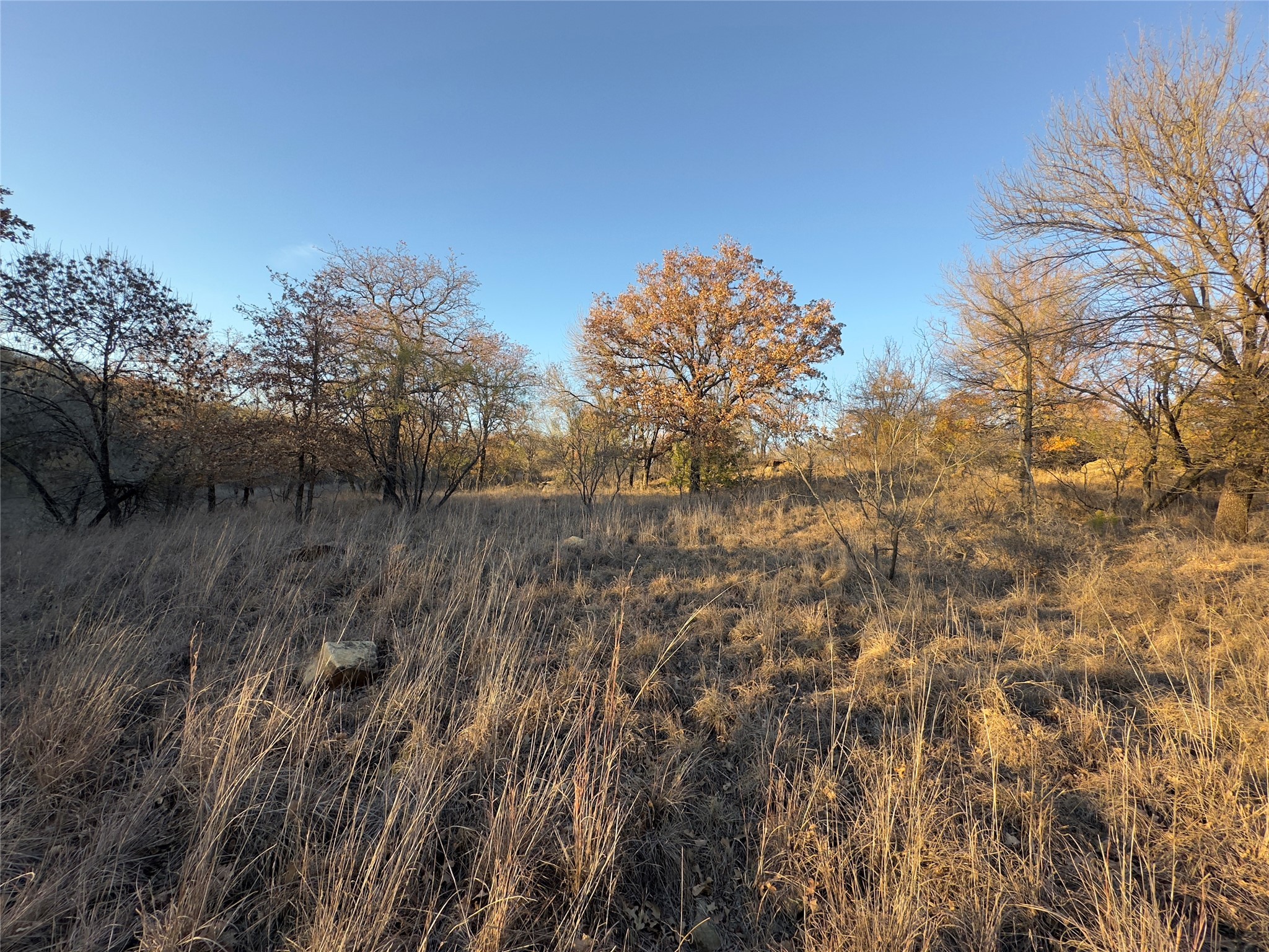 Lot 283 Cozy Cove Court Chico TX 76431