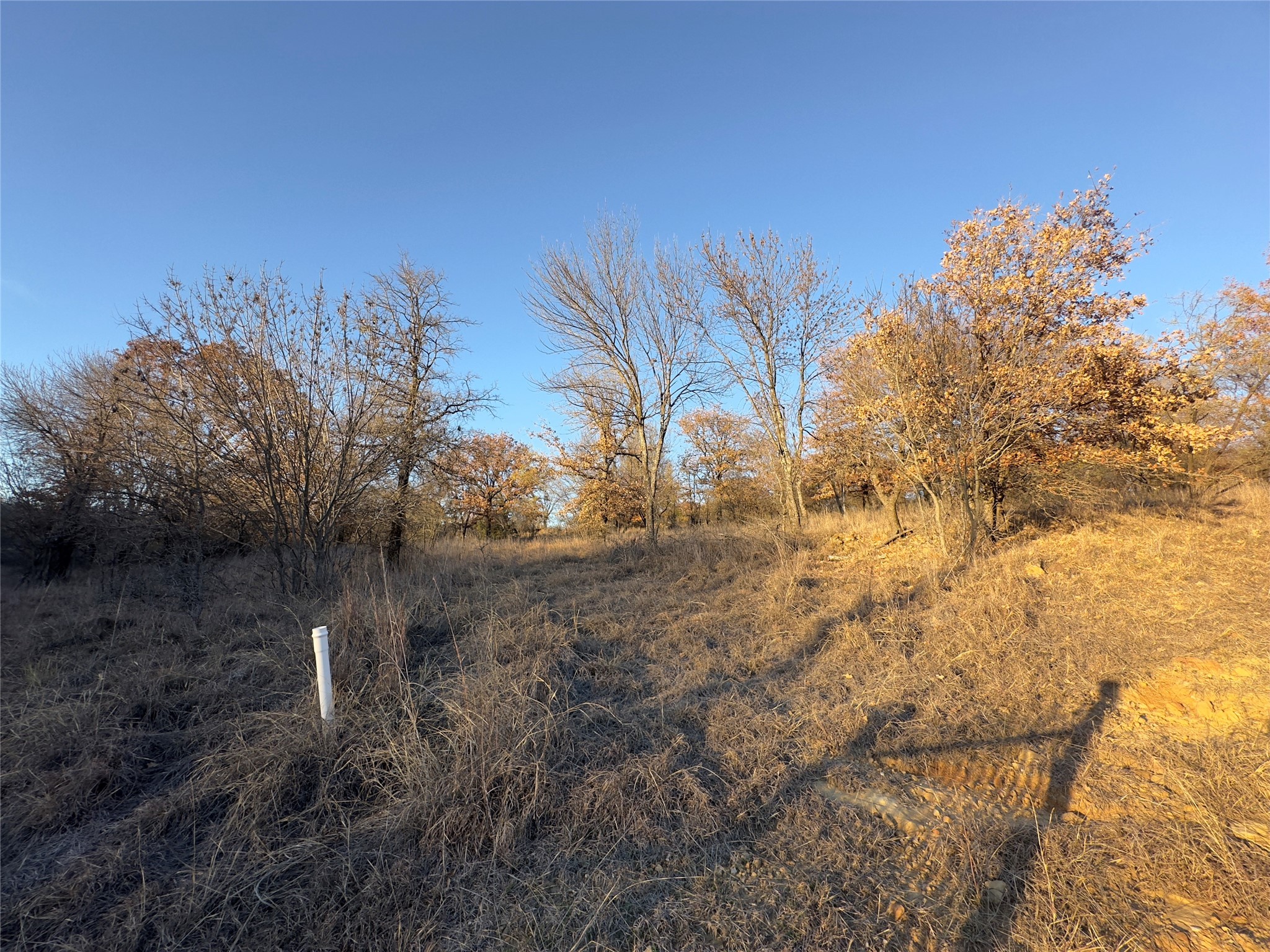 Lot 283 Cozy Cove Court Chico TX 76431
