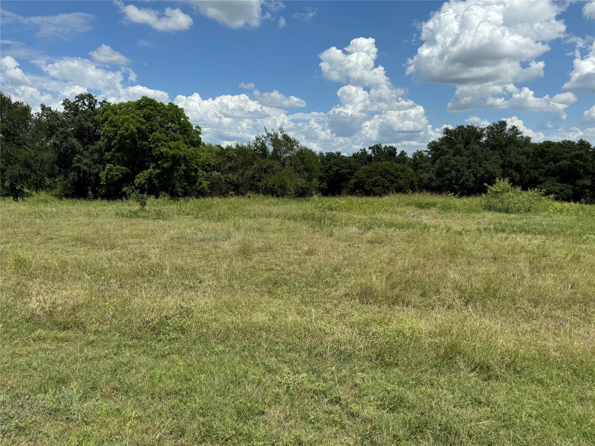 19078 White Bluff Drive Whitney TX 76692