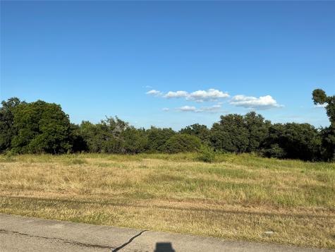 19078 White Bluff Drive Whitney TX 76692