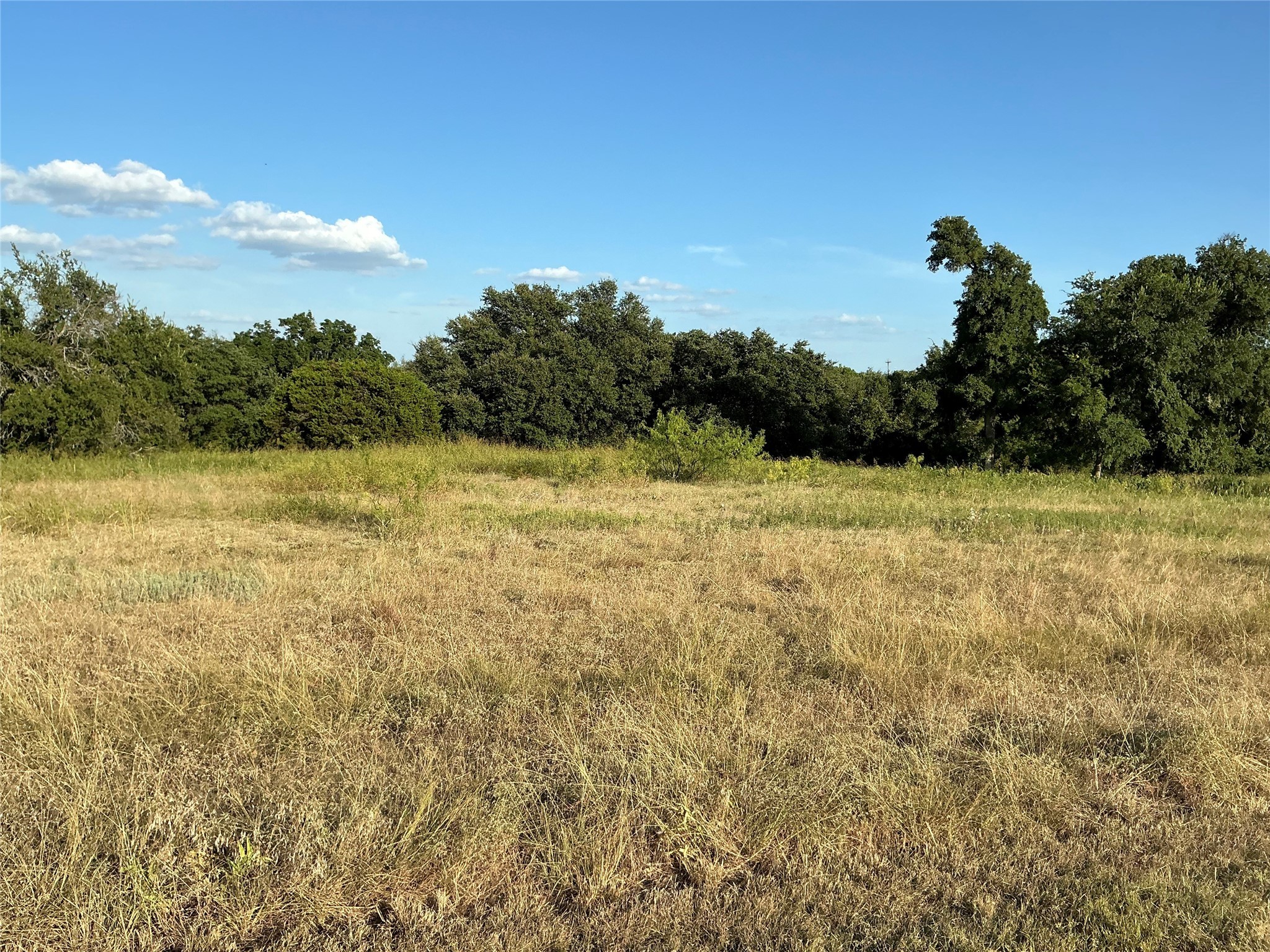 19078 White Bluff Drive Whitney TX 76692