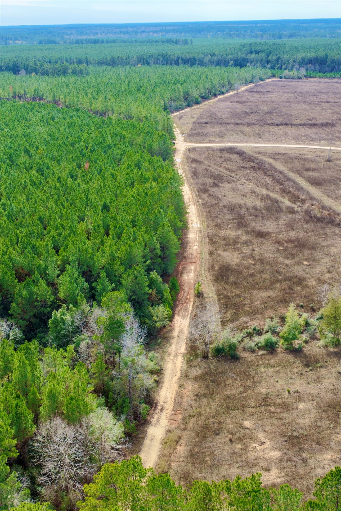 Tbd Segno Fire Lane Livingston TX 77351