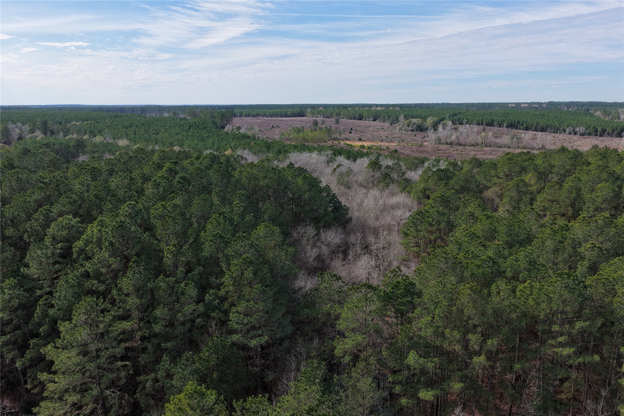 Tbd Segno Fire Lane Livingston TX 77351