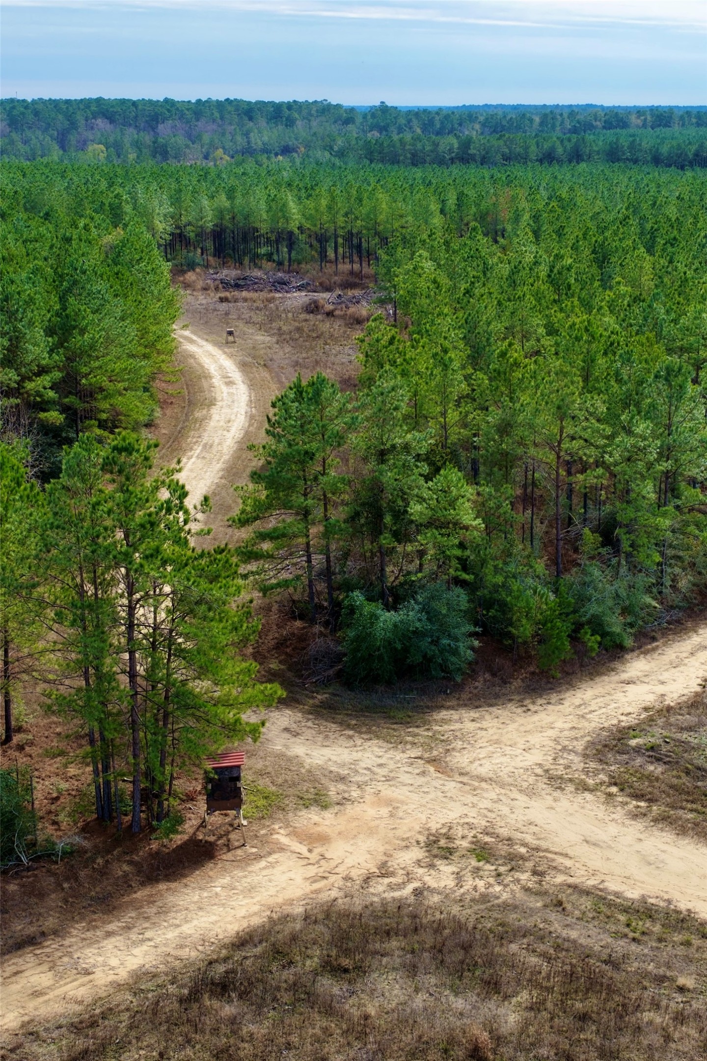 Tbd Segno Fire Lane Livingston TX 77351