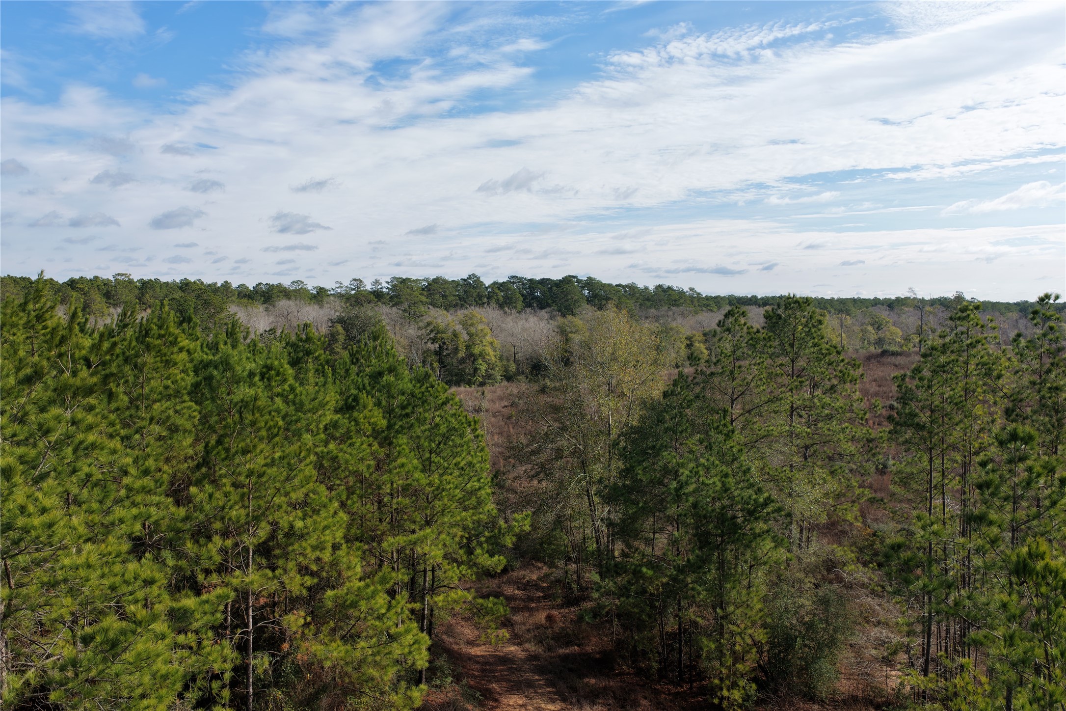 Tbd Segno Fire Lane Livingston TX 77351