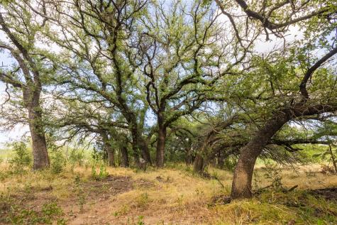 38 County Road 550 Mullin TX 76864