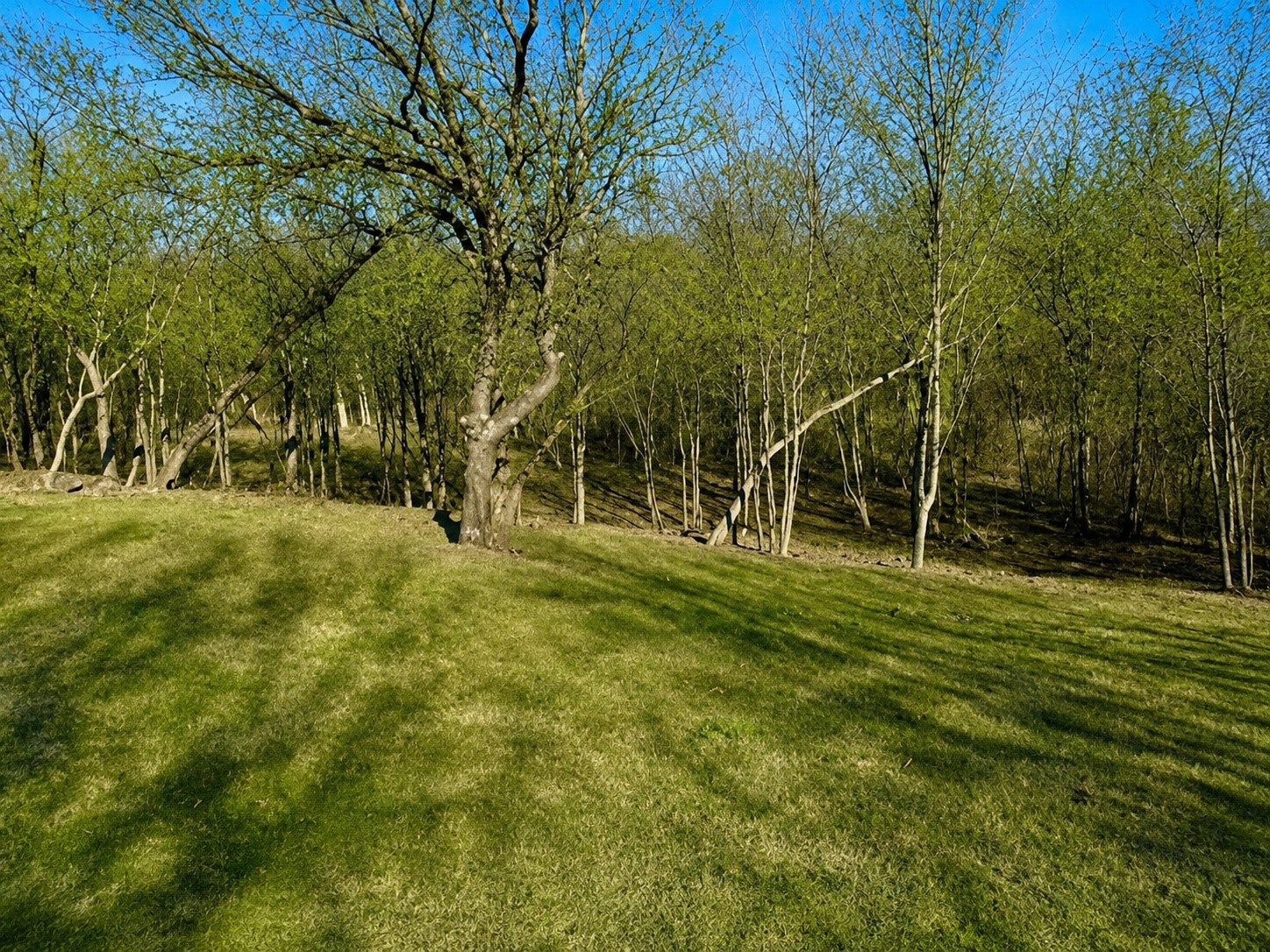 2955 Sonterra Drive Cedar Hill TX 75104