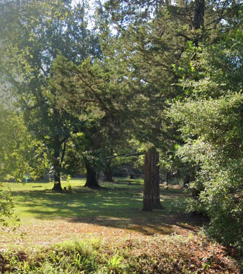 0000 Johnson Road Scottsville TX 75672