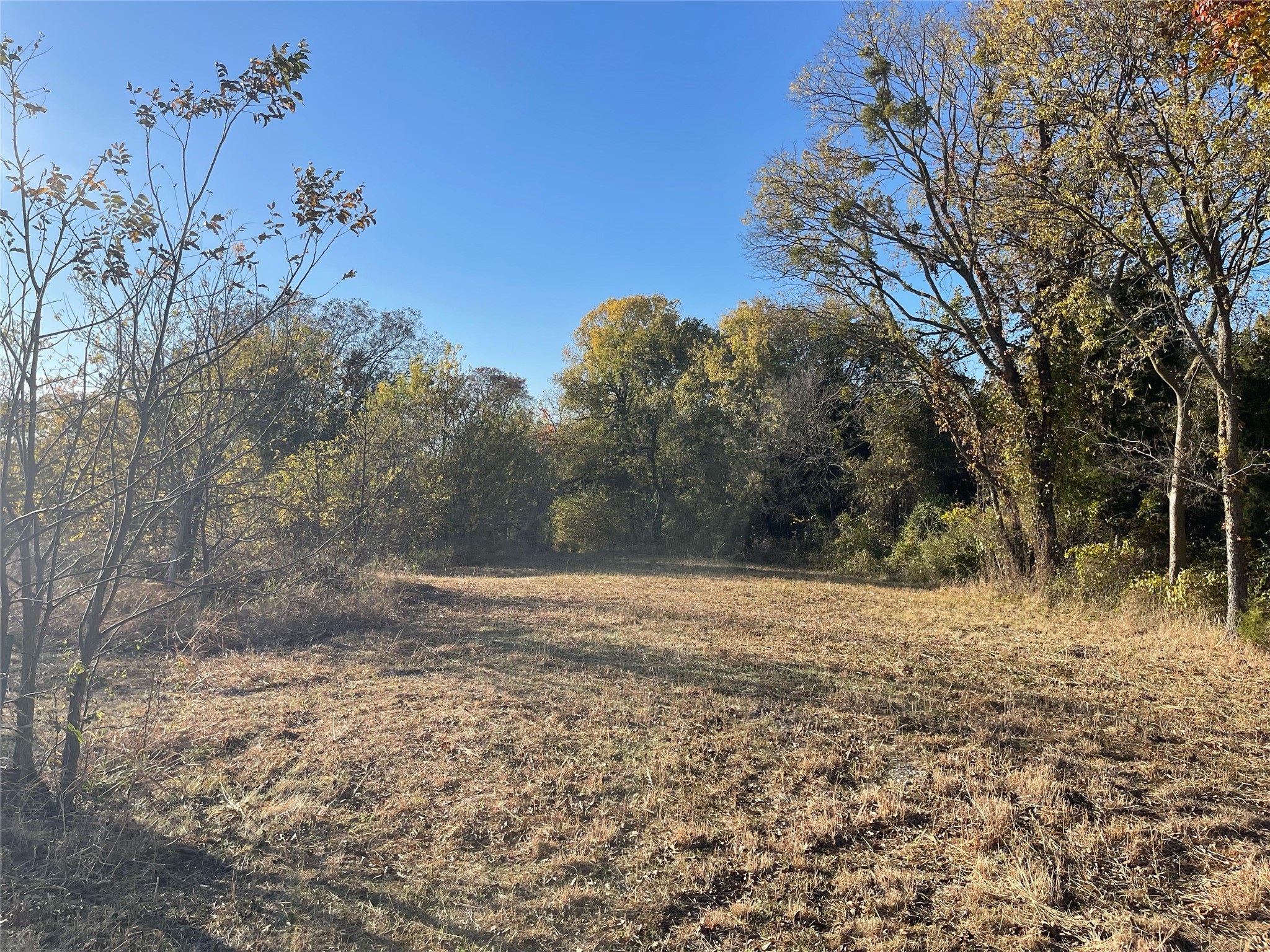 6817 Chiesa Road Rowlett TX 75089