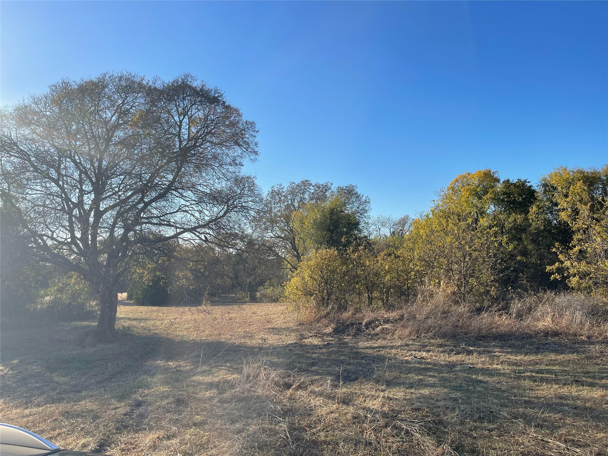 6817 Chiesa Road Rowlett TX 75089