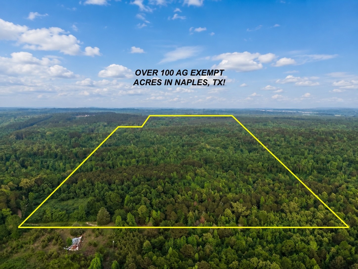 Tbd County Road 2742 Naples TX 75568