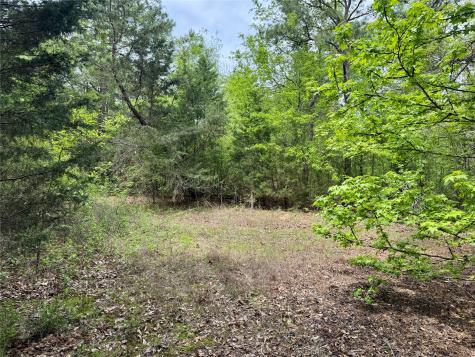 Tbd County Road 2742 Naples TX 75568