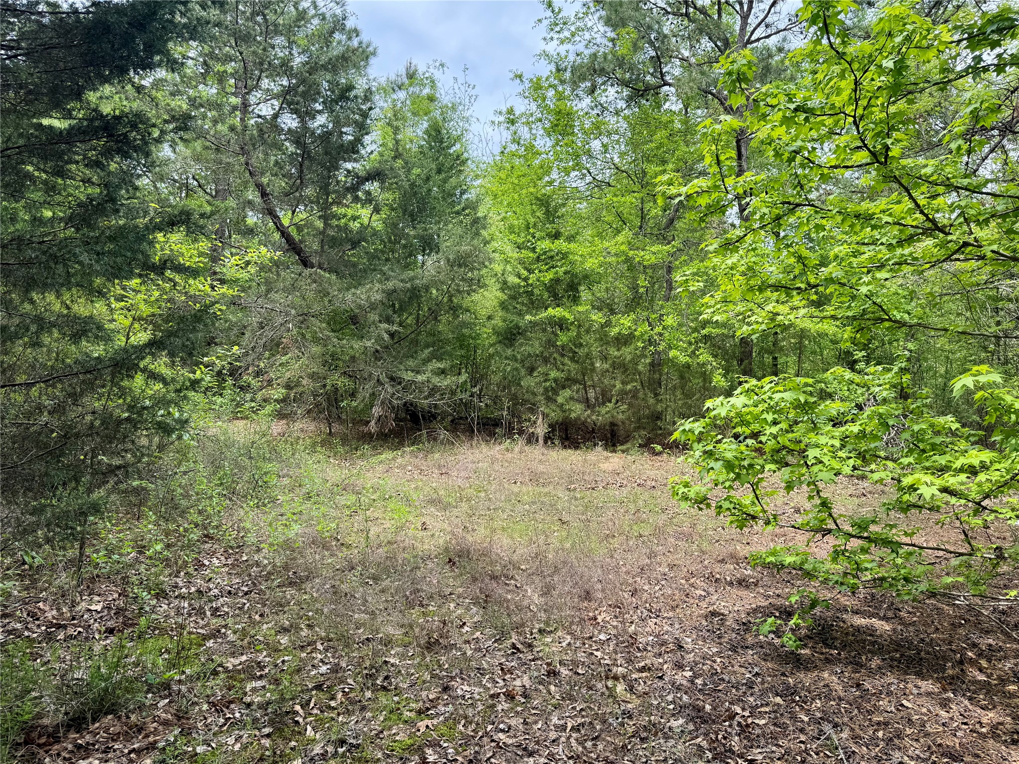 Tbd County Road 2742 Naples TX 75568