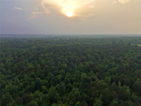 Tbd County Road 2742 Naples TX 75568