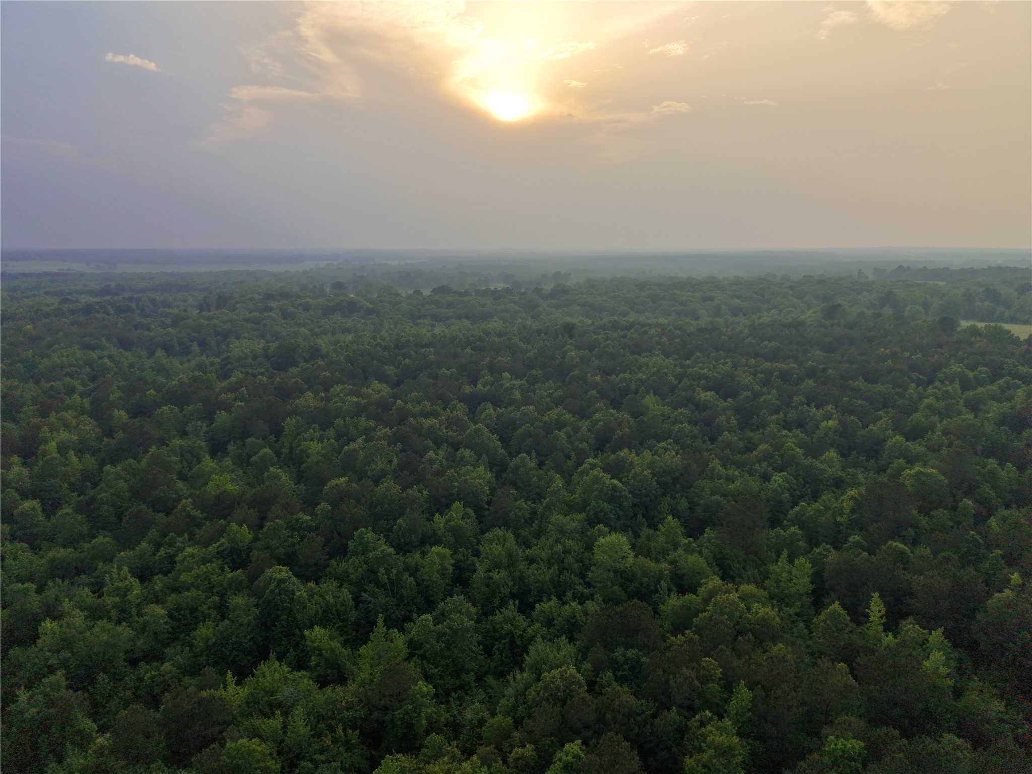 Tbd County Road 2742 Naples TX 75568