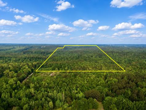 Tbd County Road 2742 Naples TX 75568