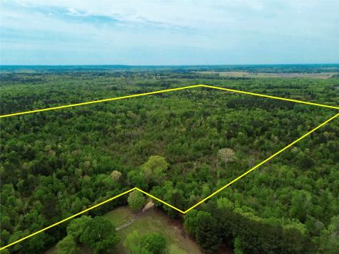 Tbd County Road 2742 Naples TX 75568