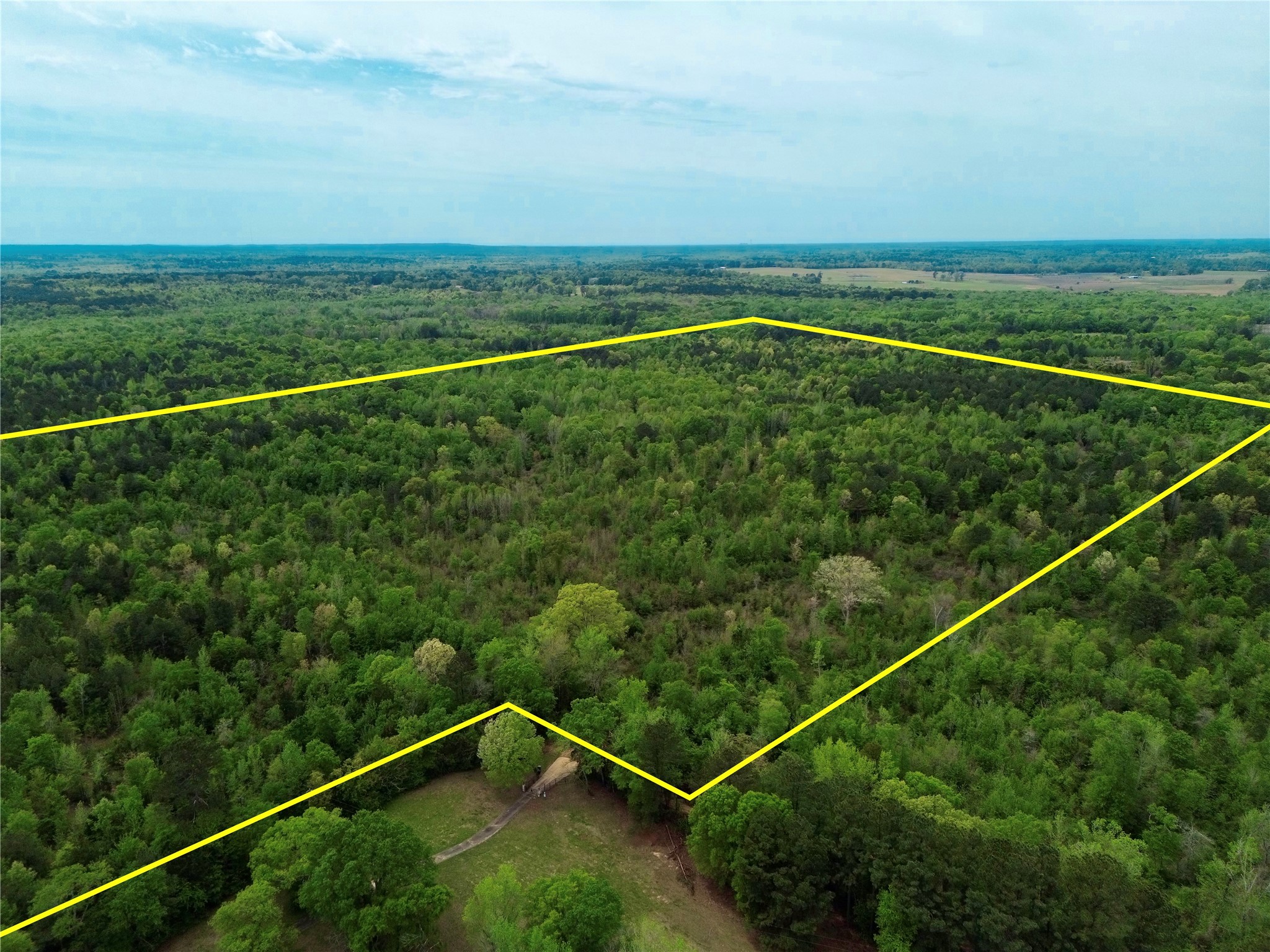 Tbd County Road 2742 Naples TX 75568