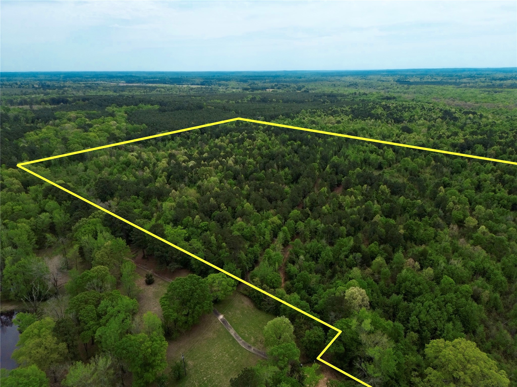 Tbd County Road 2742 Naples TX 75568