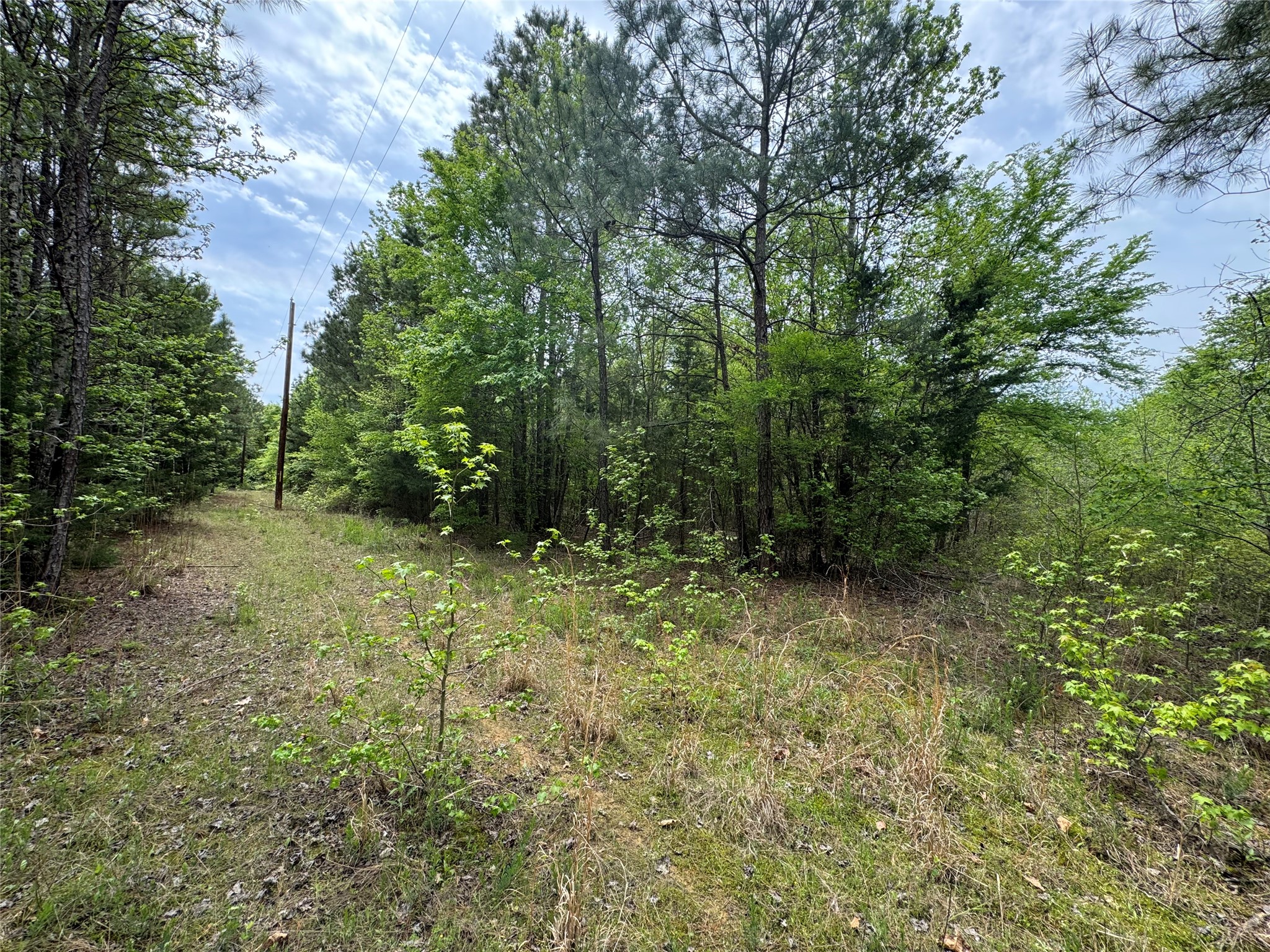 Tbd County Road 2742 Naples TX 75568