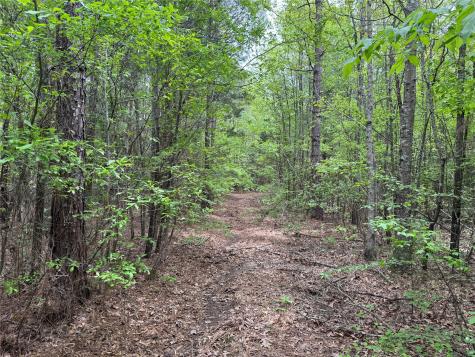 Tbd County Road 2742 Naples TX 75568