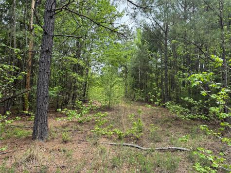 Tbd County Road 2742 Naples TX 75568