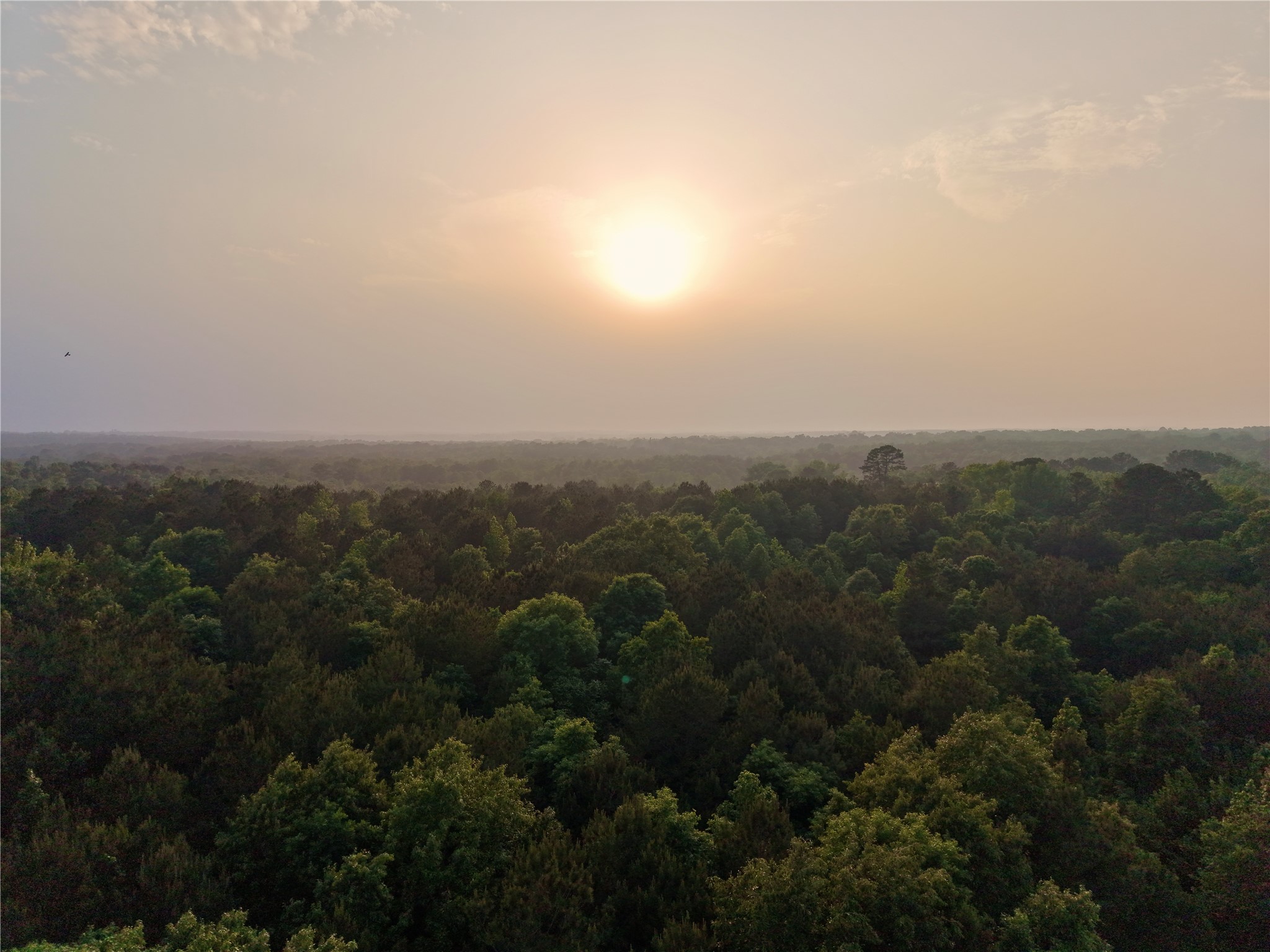 Tbd County Road 2742 Naples TX 75568