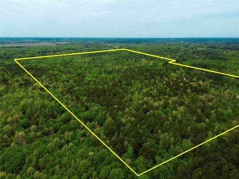 Tbd County Road 2742 Naples TX 75568