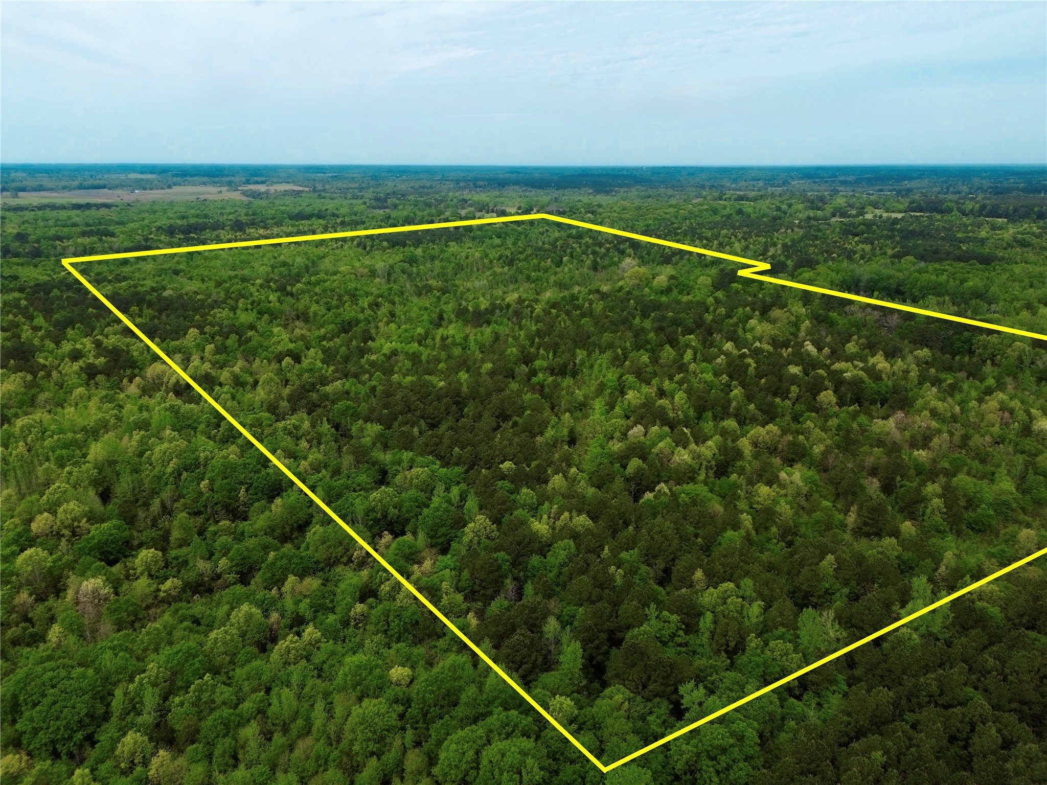 Tbd County Road 2742 Naples TX 75568