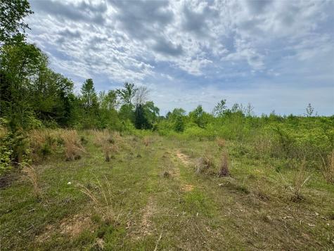 Tbd County Road 2742 Naples TX 75568