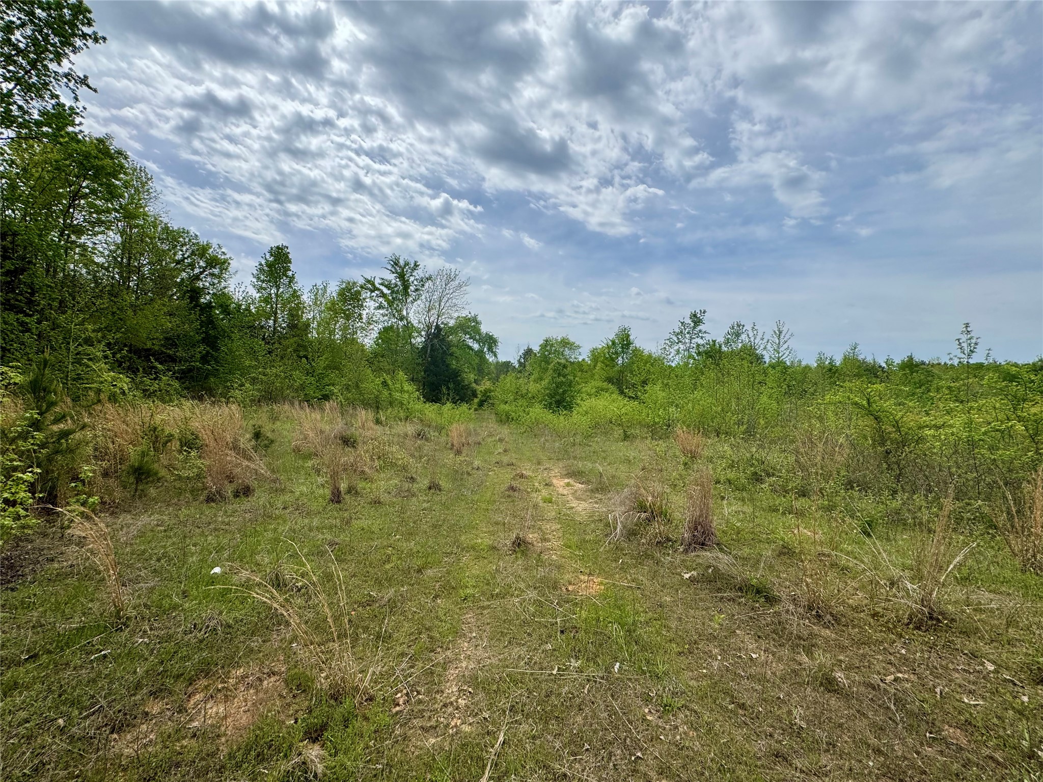 Tbd County Road 2742 Naples TX 75568