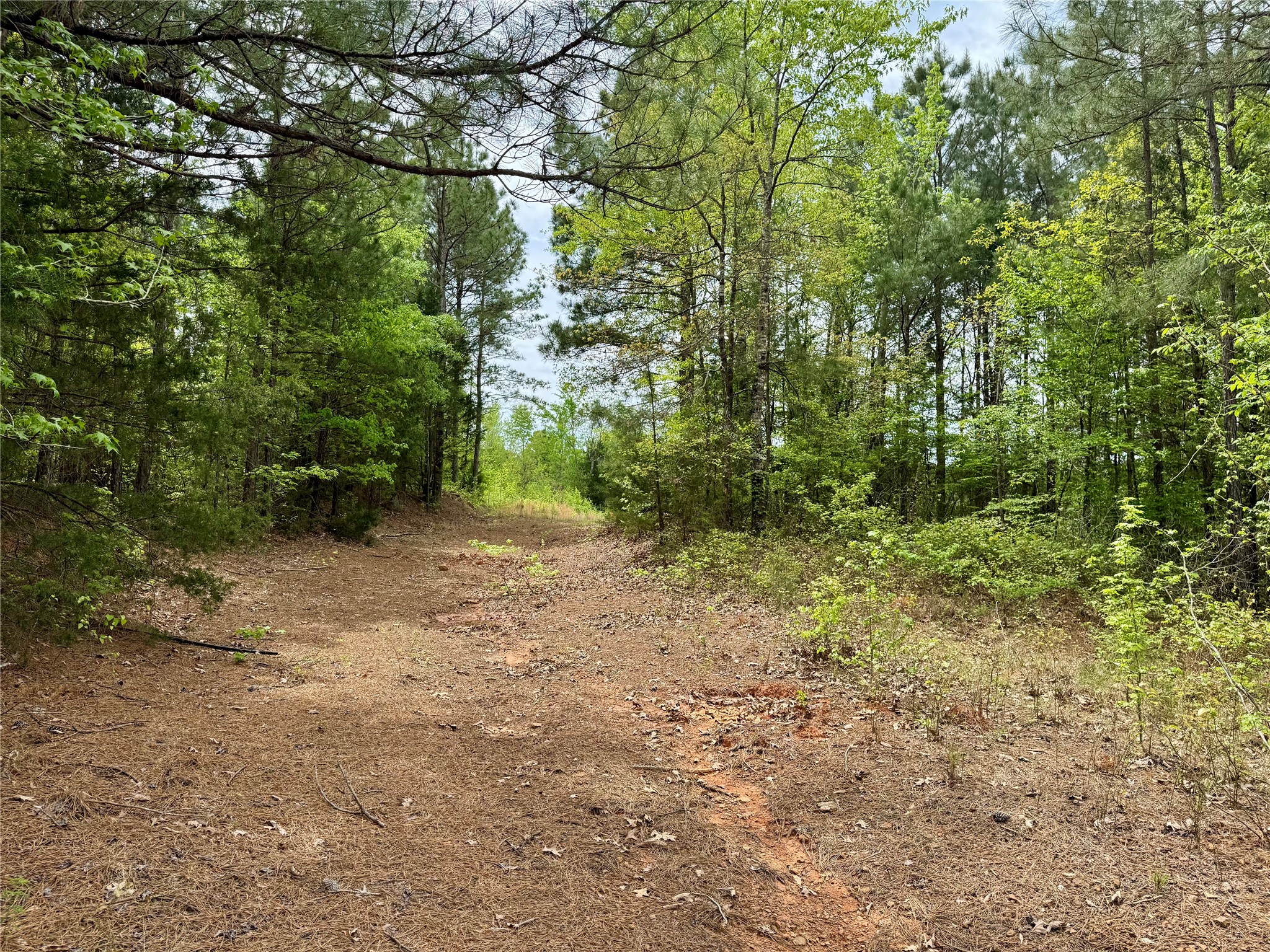 Tbd County Road 2742 Naples TX 75568