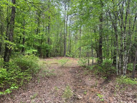 Tbd County Road 2742 Naples TX 75568