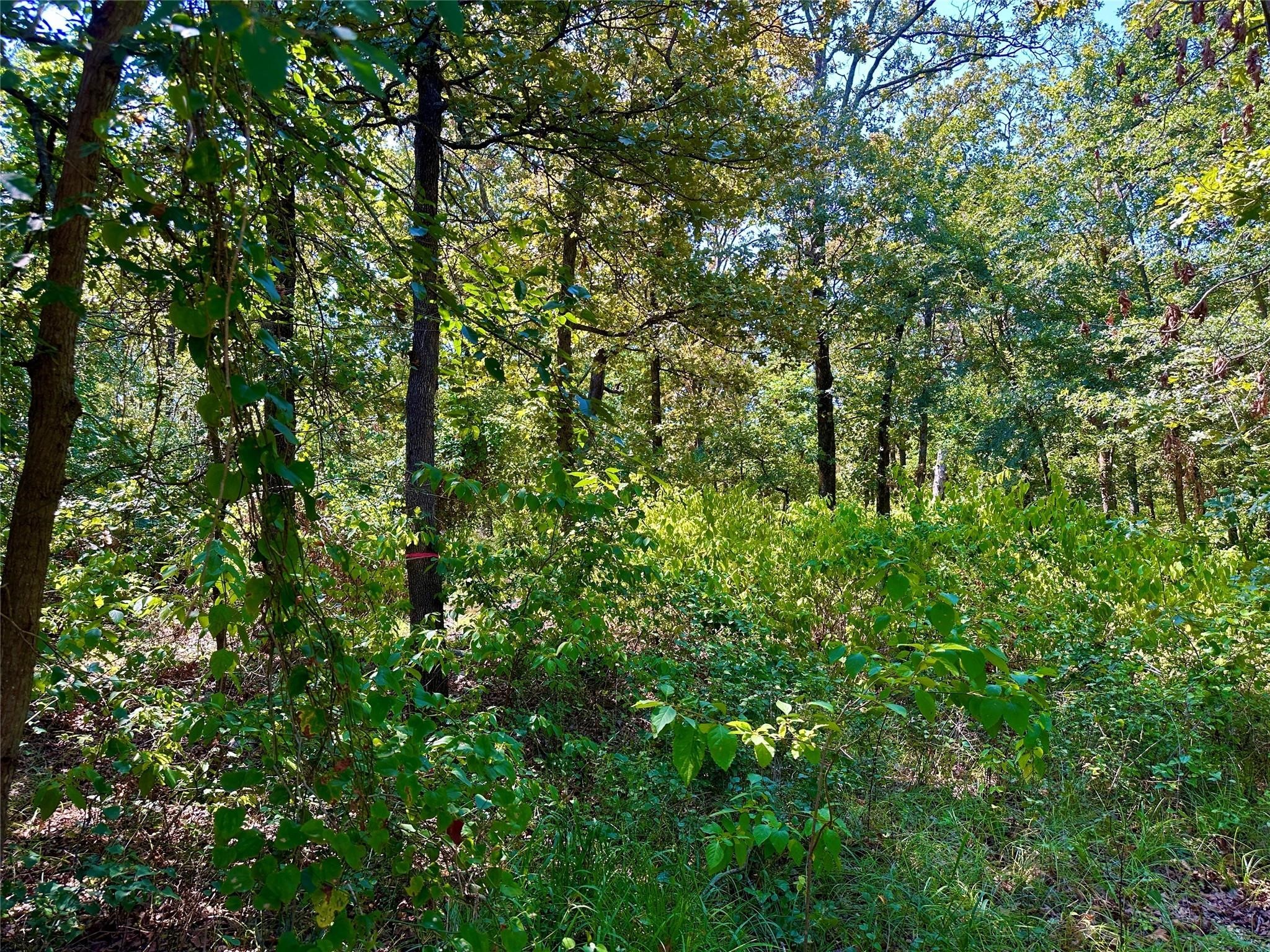 0000 County Road 3641 Sulphur Springs TX 75482