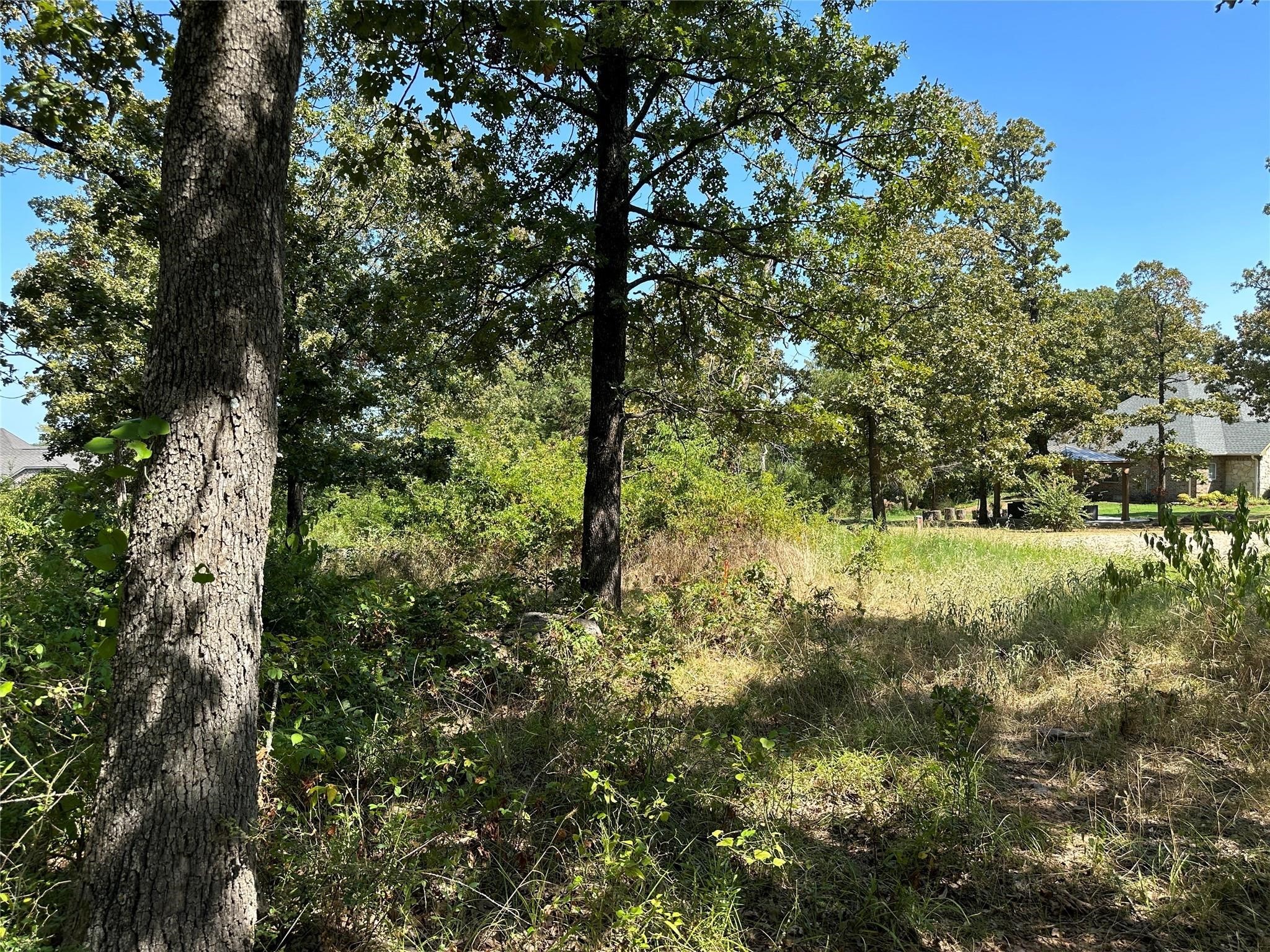 0000 County Road 3641 Sulphur Springs TX 75482