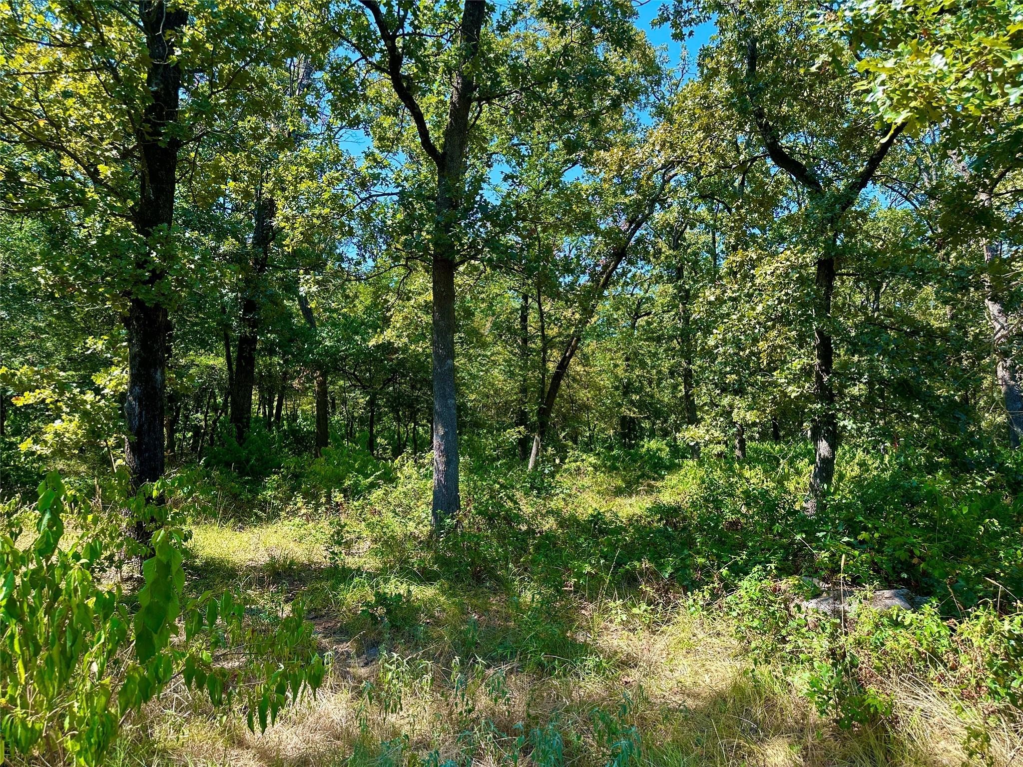0000 County Road 3641 Sulphur Springs TX 75482