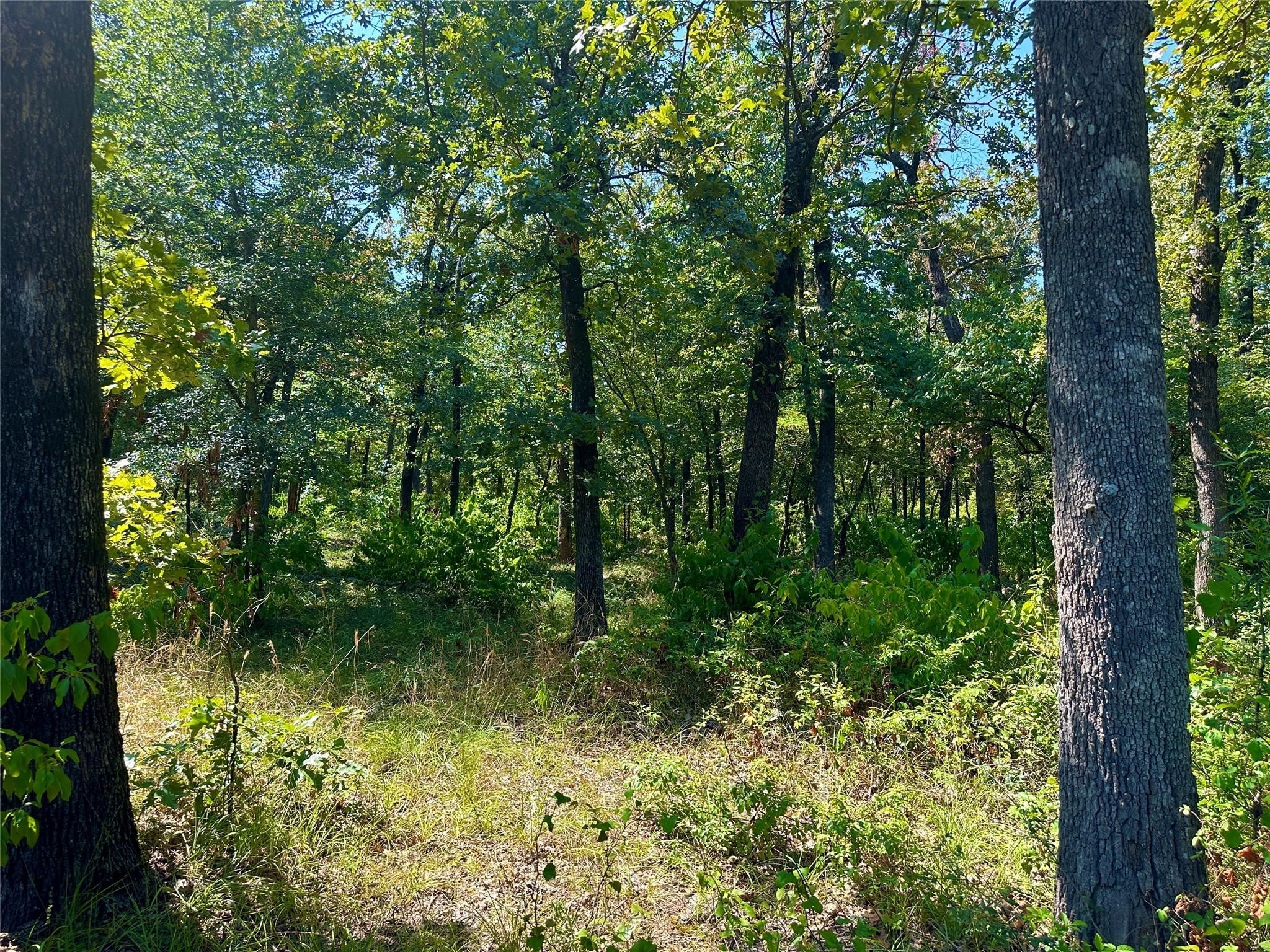 0000 County Road 3641 Sulphur Springs TX 75482
