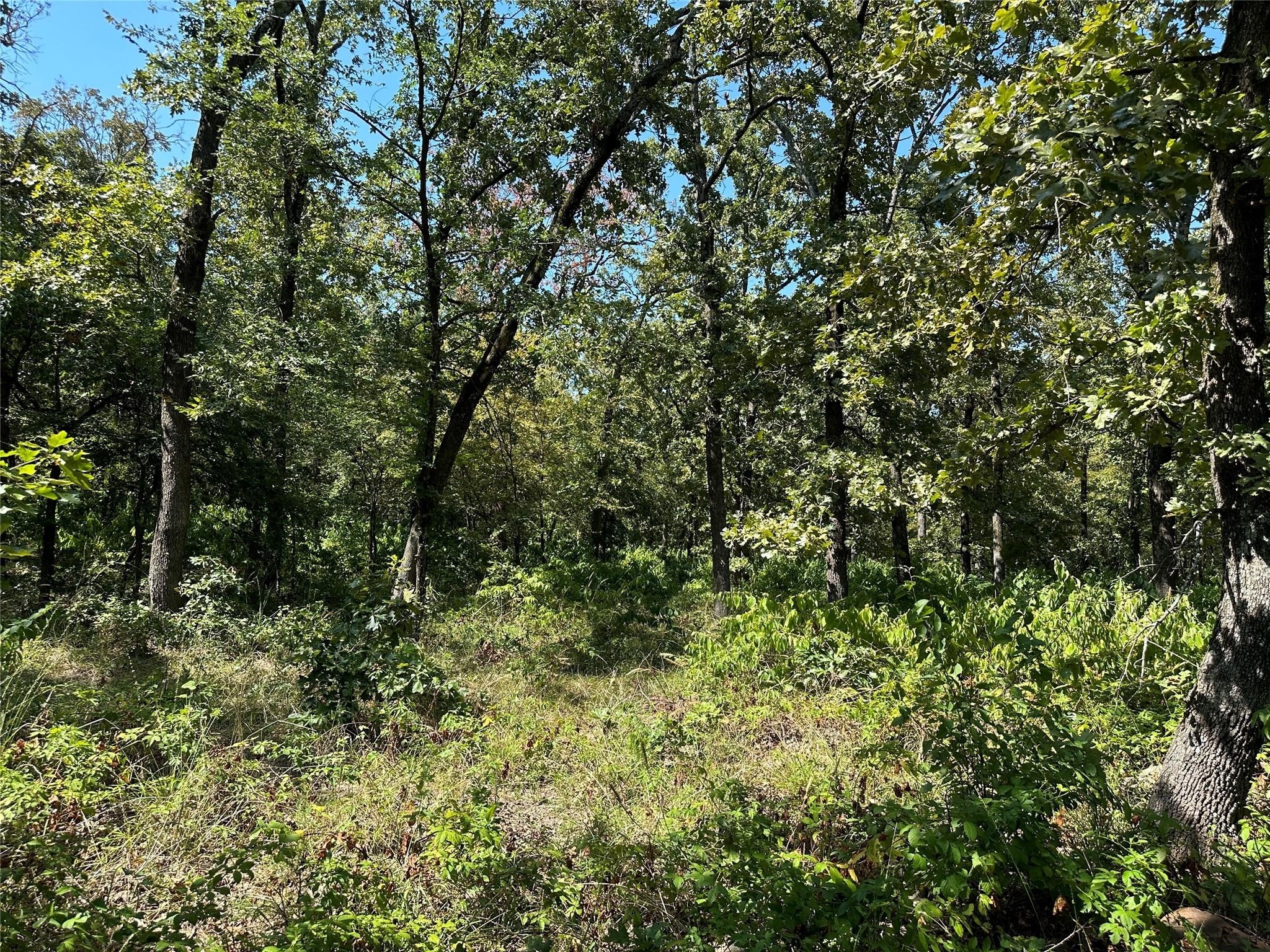 0000 County Road 3641 Sulphur Springs TX 75482