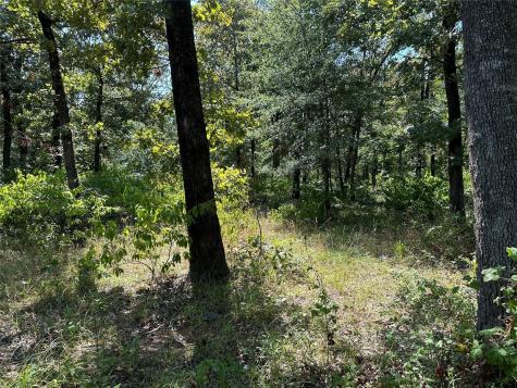 0000 County Road 3641 Sulphur Springs TX 75482