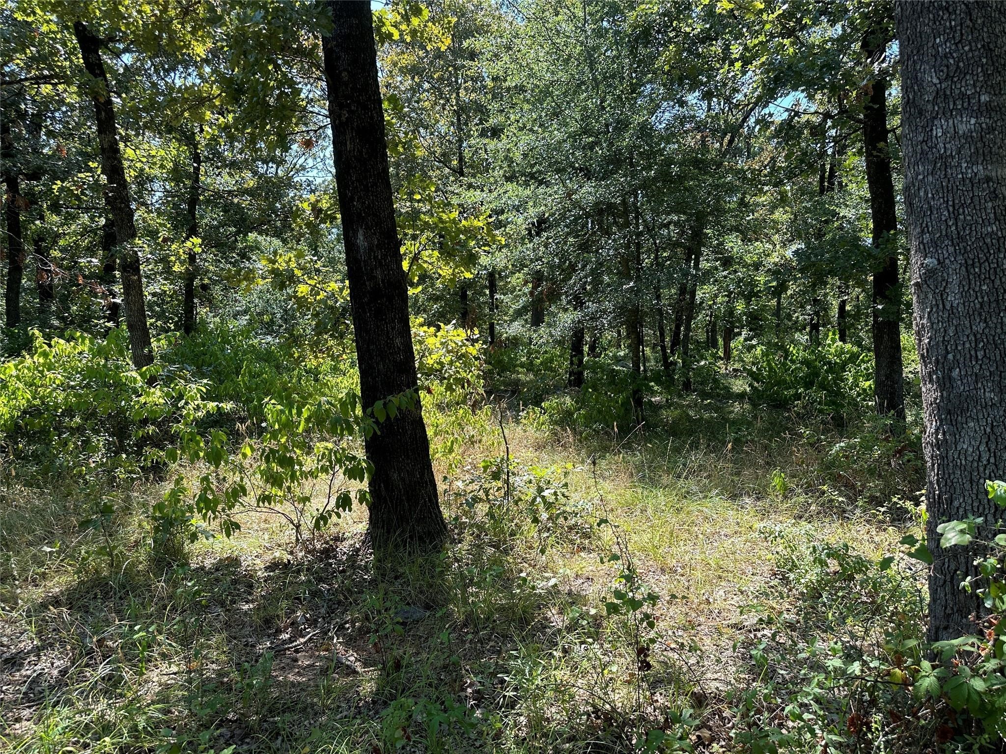 0000 County Road 3641 Sulphur Springs TX 75482