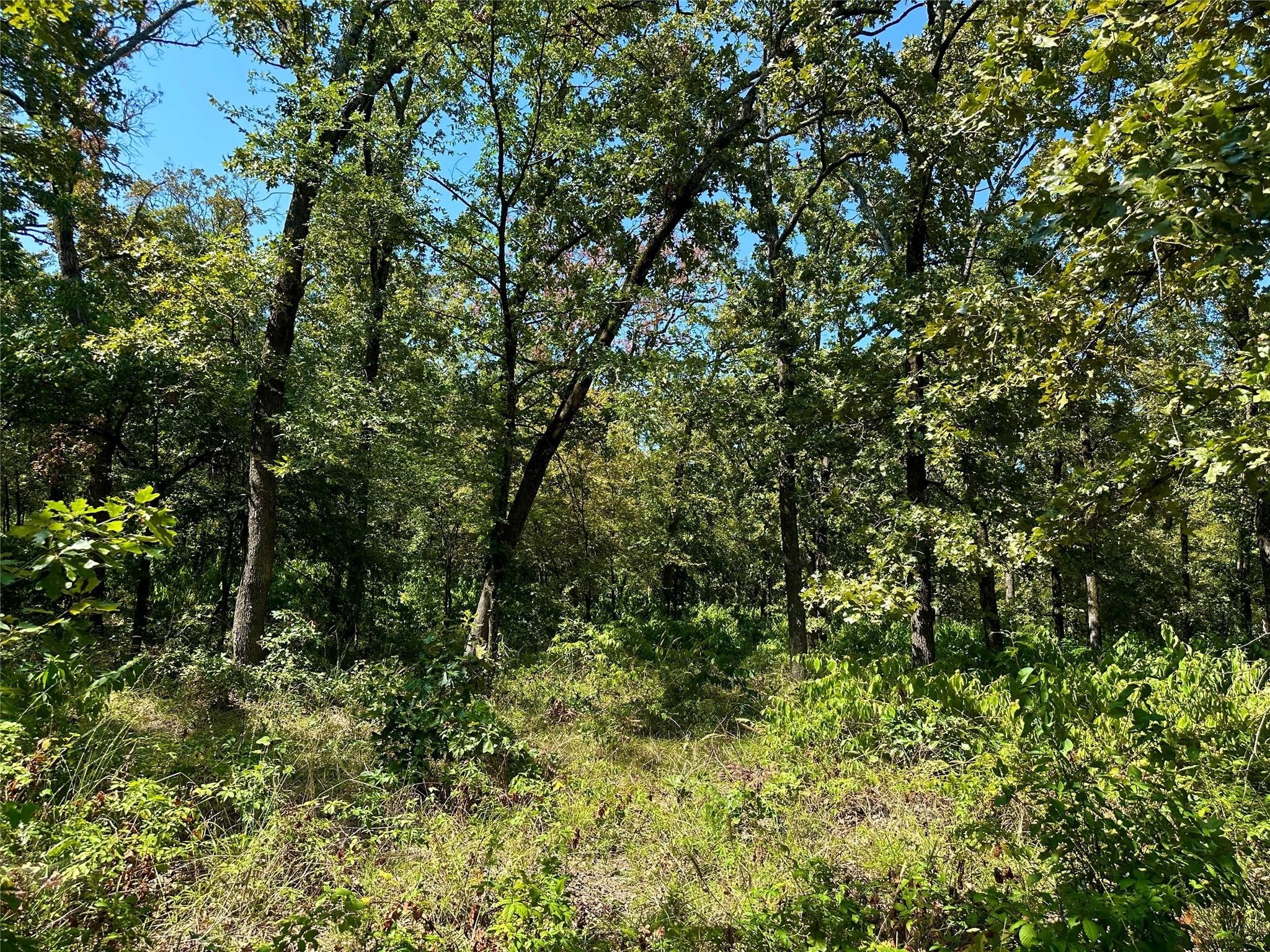 0000 County Road 3641 Sulphur Springs TX 75482