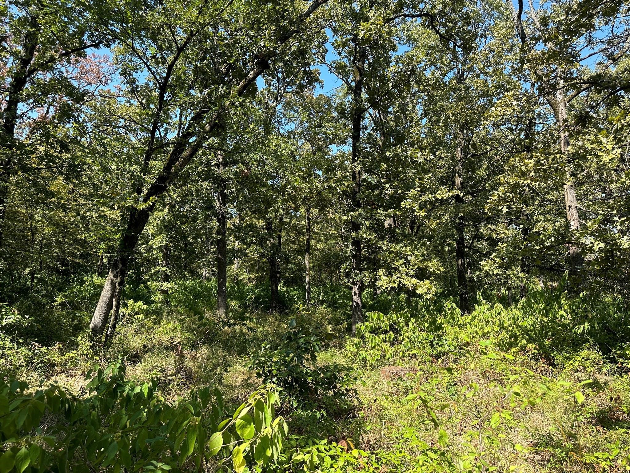 0000 County Road 3641 Sulphur Springs TX 75482