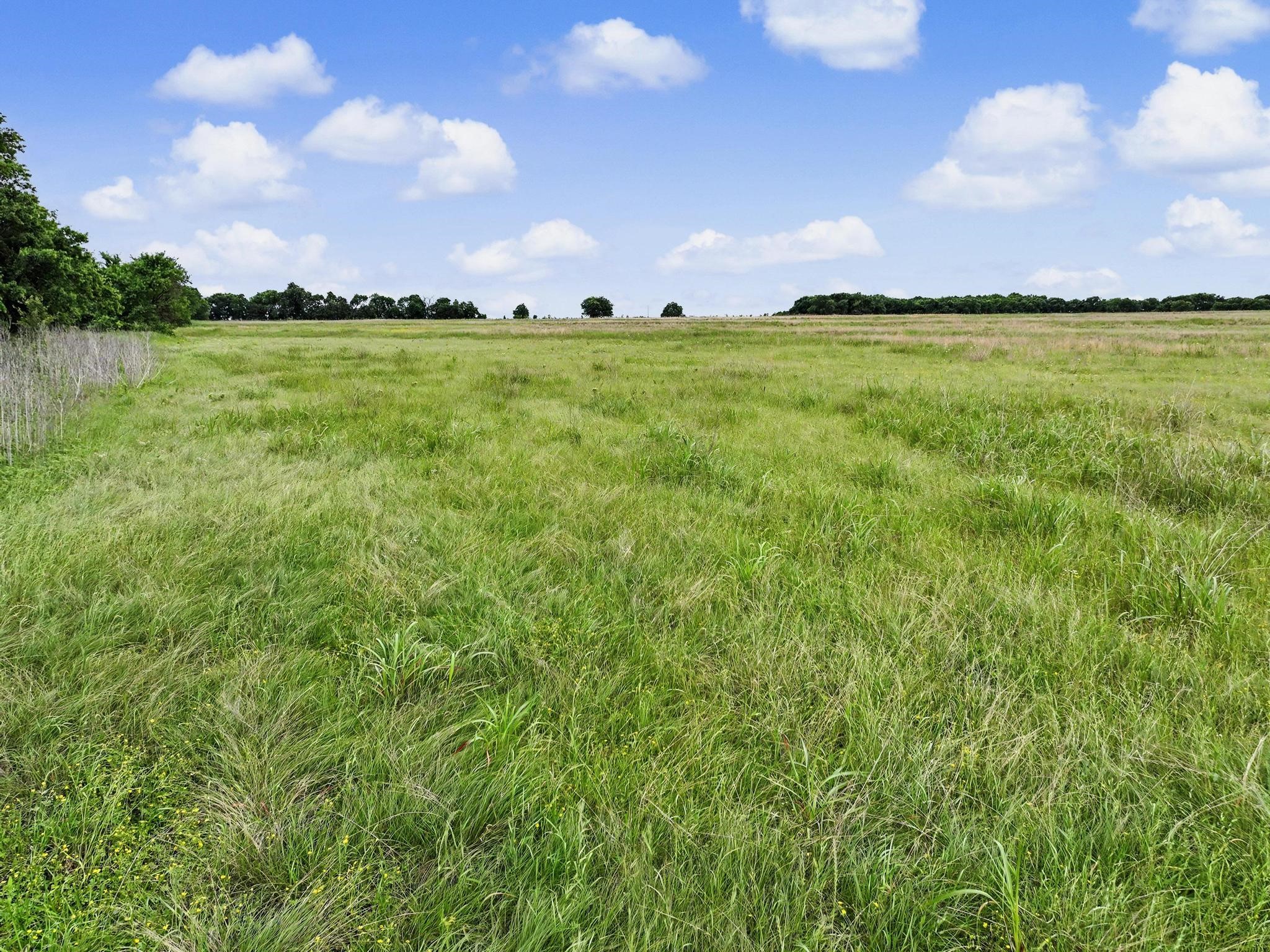 Tbd Fm 1550 Bonham TX 75418